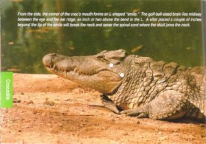Shot placement diagram for Nile Crocodile