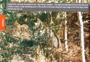 Shot placement diagram for African Leopard