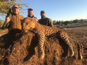 African Leopard hunted with Kaiwhai Safaris