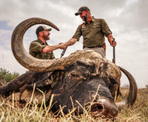 Cape Buffalo hunted with Kaiwhai Safaris