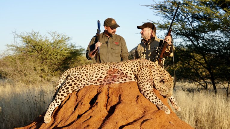 Kaiwhai Safaris hunters with an African Leopard taken on our concession