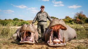 Hippo hunted with Kaiwhai Safaris
