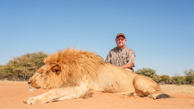 Kaiwhai Safaris hunters with an African Lion taken on our concession