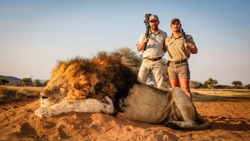 Two hunters behind a black-maned lion