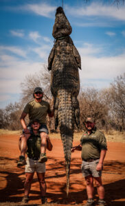African Elephant hunted with Kaiwhai Safaris