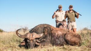 Cape Buffalo hunted with Kaiwhai Safaris
