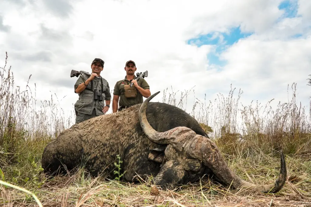 Two hunters with a Cape buffalo in long grass