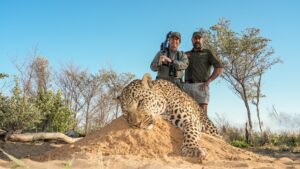 African Leopard hunted with Kaiwhai Safaris