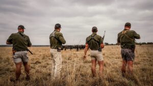 Cape Buffalo hunted with Kaiwhai Safaris