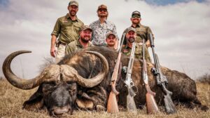 Cape Buffalo hunted with Kaiwhai Safaris
