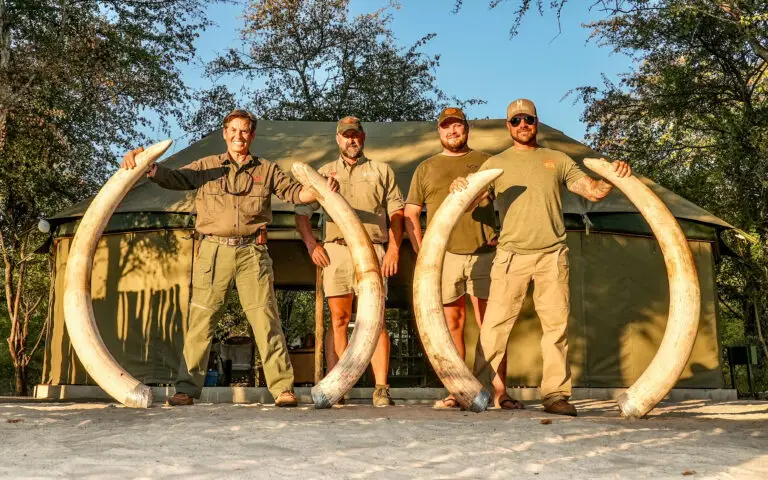 Kaiwhai Safaris hunters with an African Elephant taken on our concession