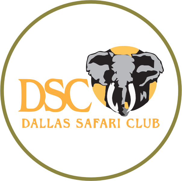 Logo DSC