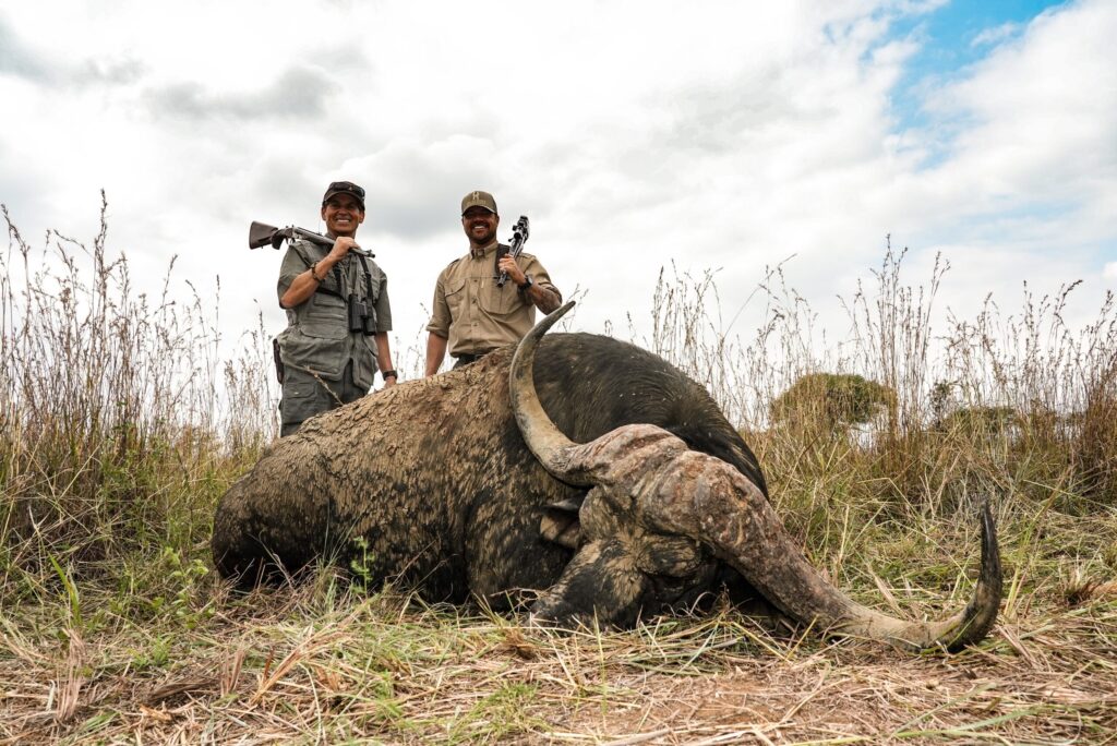 Two hunters with a mud-covered Cape buffalo bull in tall grass