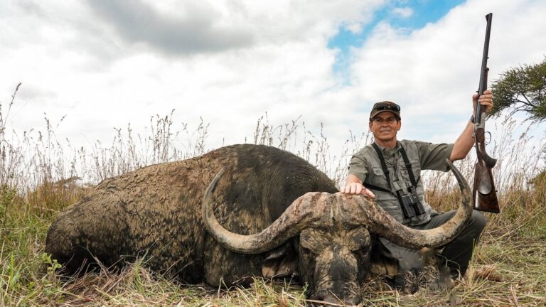 A Kaiwhai Safaris hunter with his Cape buffalo bull, rifle raised